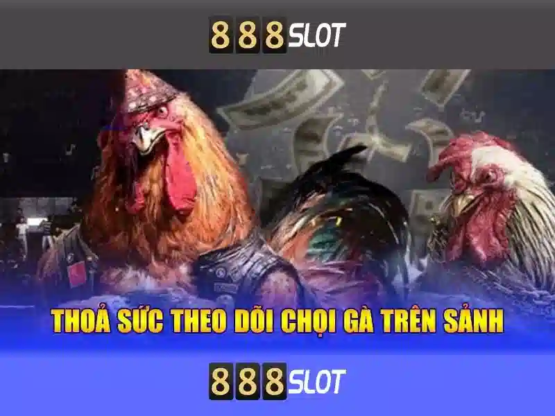 💎nhà cái khuyến mãi top 11💎 💎nhà cái khuyến mãi top 11💎