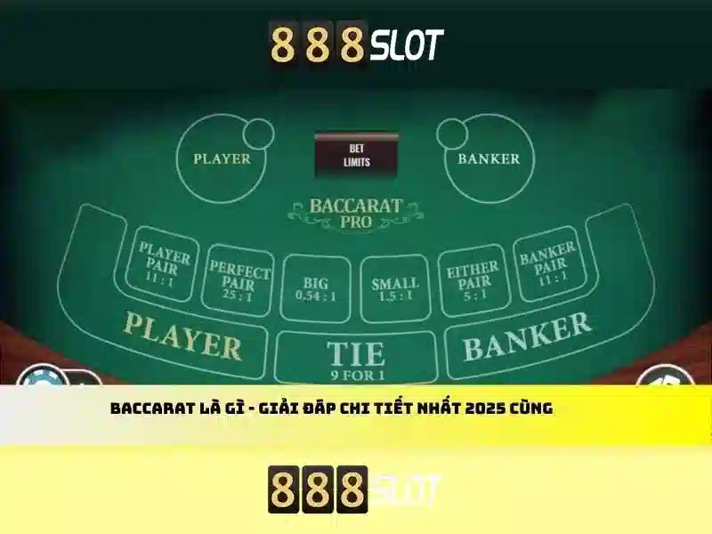 888SLOT chính sách - 888SLOT 888SLOT chính sách - 888SLOT