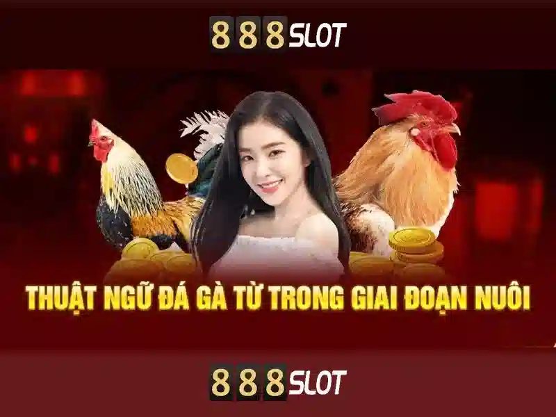 💎nhà cái mb66💎 💎nhà cái mb66💎