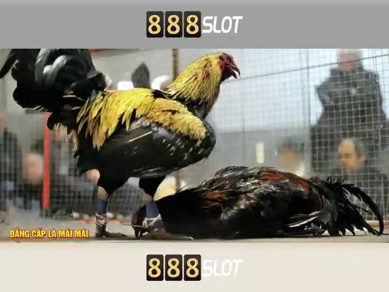 888slot 83 - 888SLOT 888slot 83 - 888SLOT