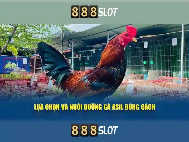 hướng dẫn đăng ký 888SLOT - 888SLOT hướng dẫn đăng ký 888SLOT - 888SLOT