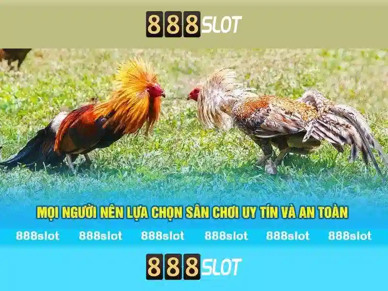 💎cá cược uero💎 💎cá cược uero💎