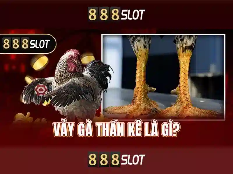 💎drilling bit junk slots💎 💎drilling bit junk slots💎