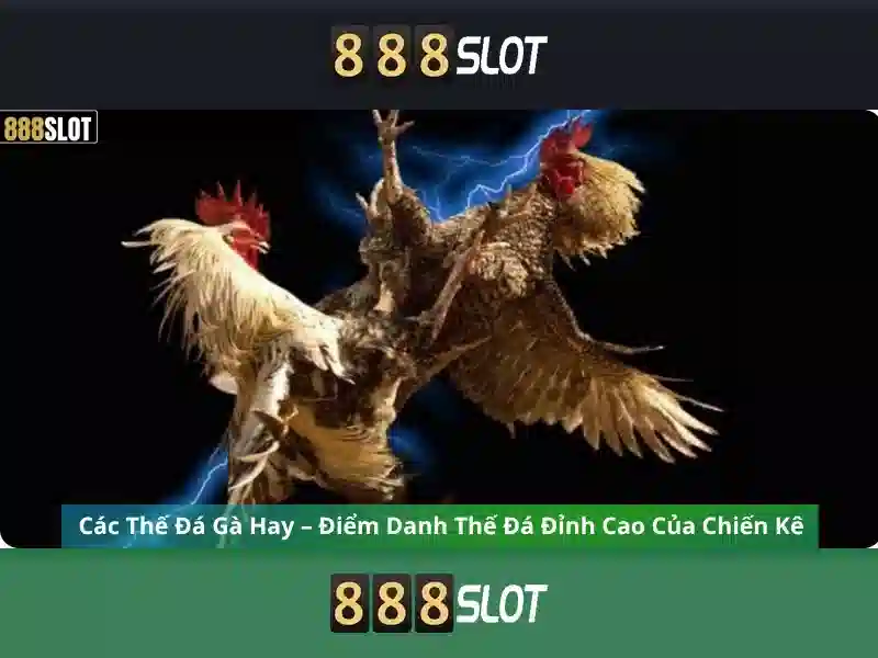 💎best cash collect slots💎 💎best cash collect slots💎