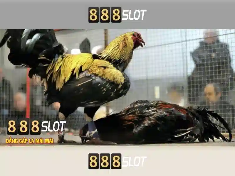 💎play free slot machines for free💎 💎play free slot machines for free💎