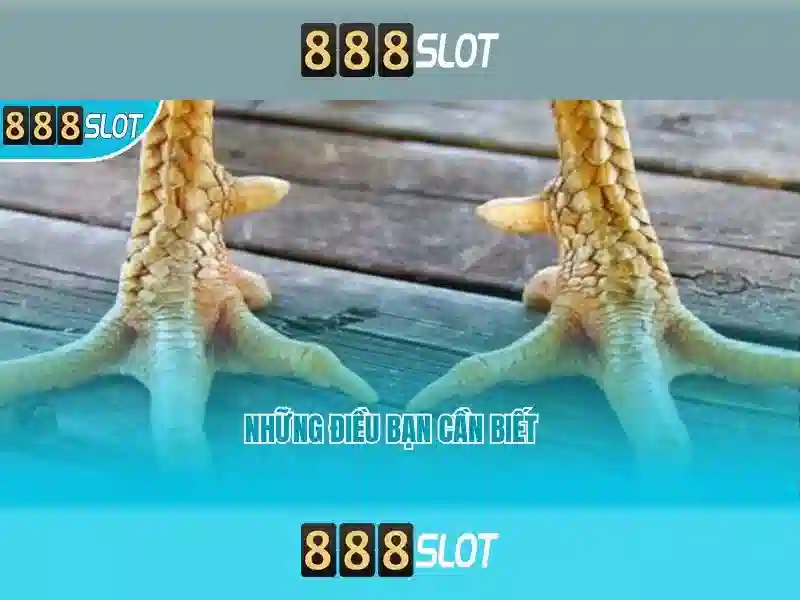 💎top nhà cái casino uy tín 2021 và💎 💎top nhà cái casino uy tín 2021 và💎