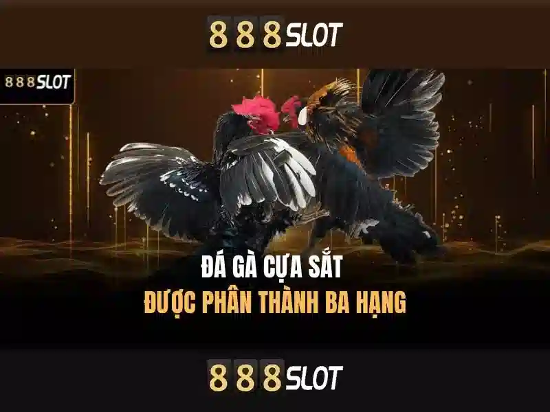 💎bài đánh giá về trung tâm bác sĩ gia đình💎 💎bài đánh giá về trung tâm bác sĩ gia đình💎