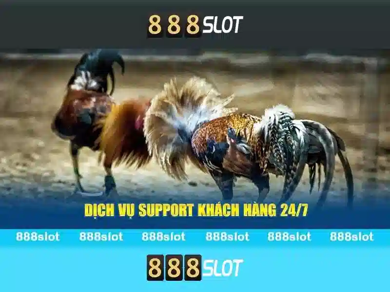 💎tội tổ chức đánh bạc💎 💎tội tổ chức đánh bạc💎