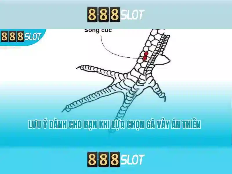 💎slot demo soft💎 💎slot demo soft💎