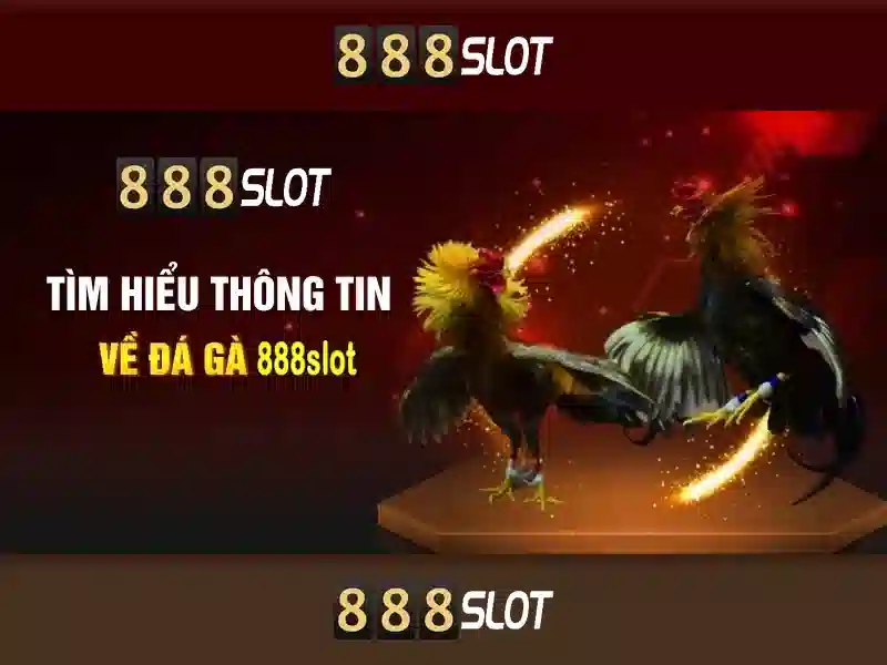 💎hb88 bingo plus💎 💎hb88 bingo plus💎
