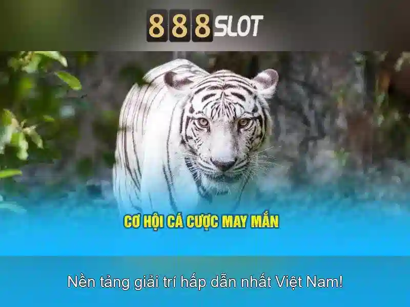 💎web ca cuoc 88💎 💎web ca cuoc 88💎