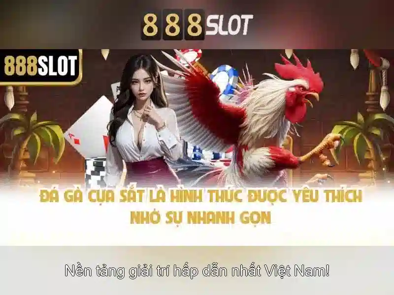 💎đánh bạc là hành vi vi phạm gì💎 💎đánh bạc là hành vi vi phạm gì💎