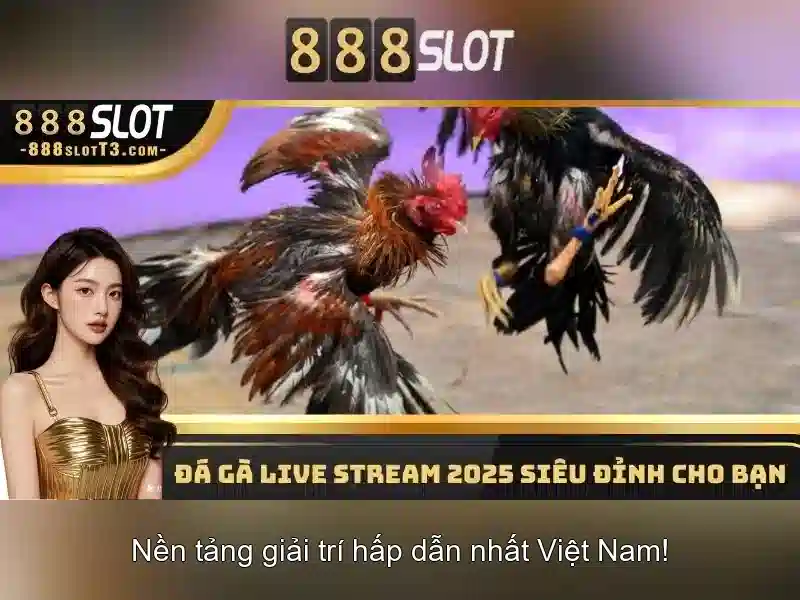 💎betberry slot💎 💎betberry slot💎