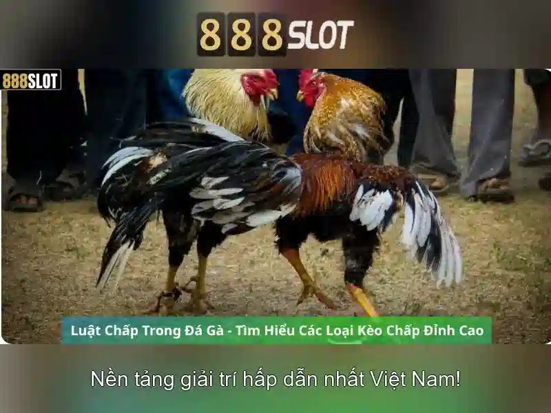 💎bang ty so ca cuoc bong da hom nay💎 💎bang ty so ca cuoc bong da hom nay💎