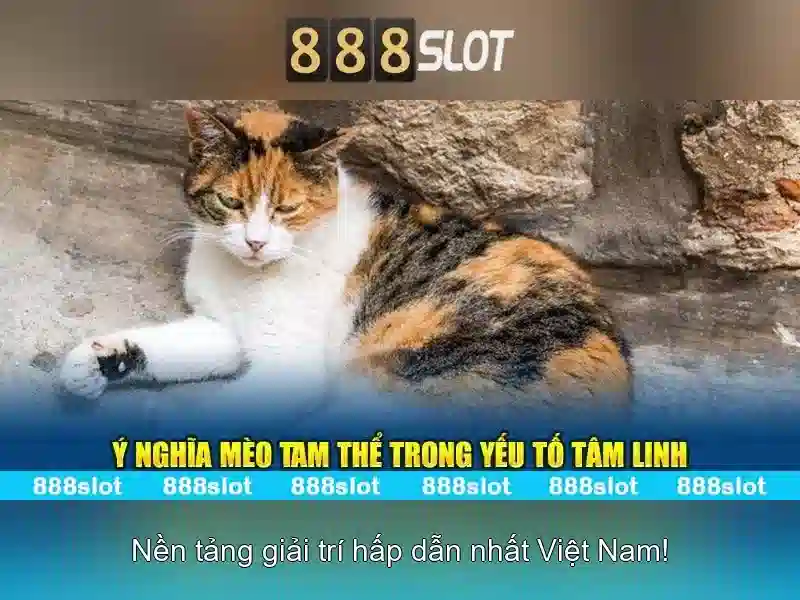 💎nhận định bóng đá nhà cái xemsport.com💎 💎nhận định bóng đá nhà cái xemsport.com💎