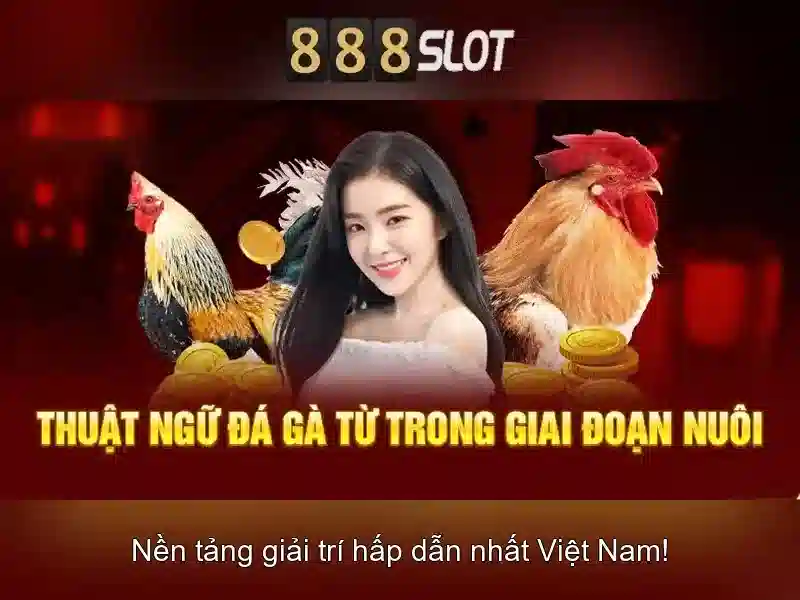 💎free slots net entertainment💎 💎free slots net entertainment💎