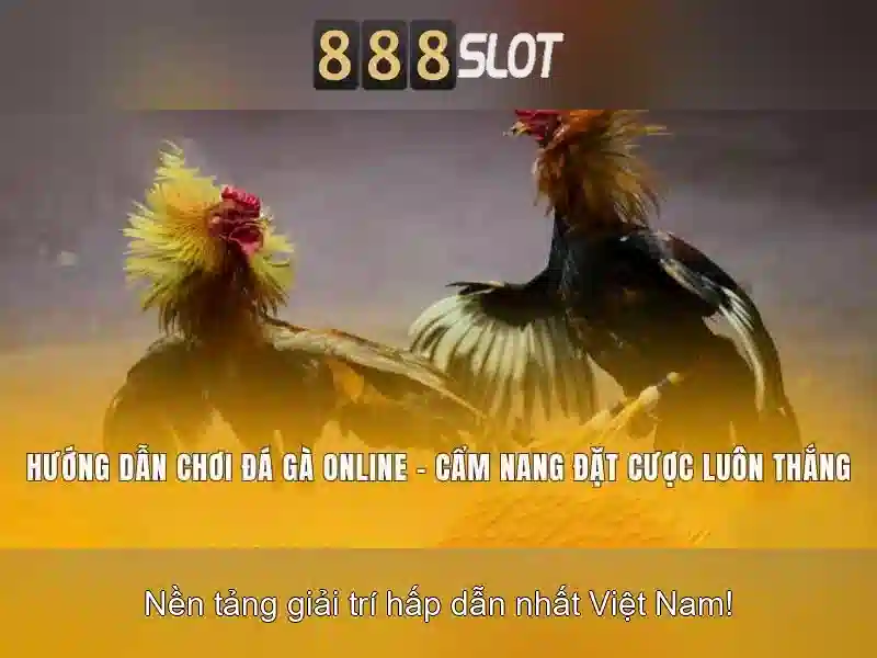 💎skills and slots login💎 💎skills and slots login💎