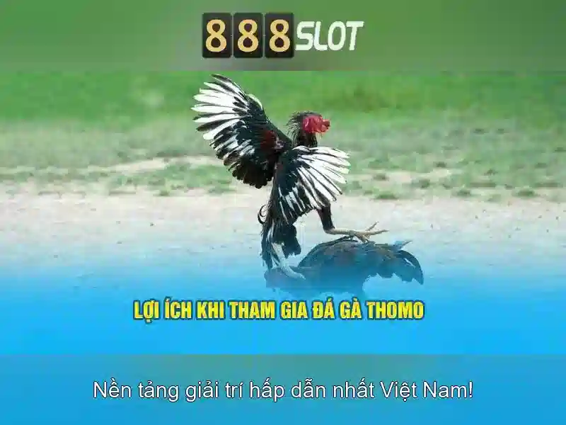 💎bắt đánh bạc ở vĩnh phúc💎 💎bắt đánh bạc ở vĩnh phúc💎
