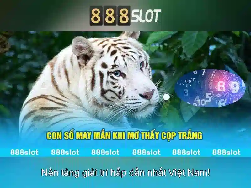 💎cầu rồng bắc qua sông hàn (đà nẵng)💎 💎cầu rồng bắc qua sông hàn (đà nẵng)💎