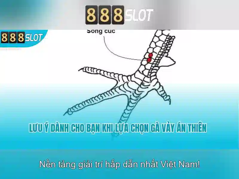 💎so sánh 2 tác phẩm thơ sóng và việt bắc💎 💎so sánh 2 tác phẩm thơ sóng và việt bắc💎